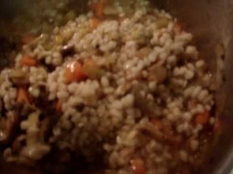 Movie Part 2 =Beef and barley soup 3 25 09