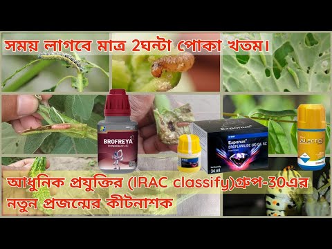 ভিডিও: কডলিং মথের জন্য কখন আপেল স্প্রে করবেন?