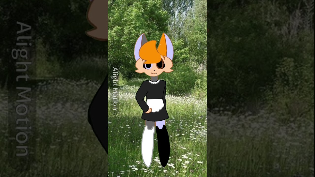 preview_player