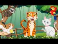 Soothing Animal Videos and Moments: Tiger, Cat, Dog, Sloth, Owl - Animals sound