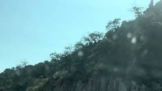 IMG 1068