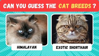Guess The Cat By It's Breed |Cat Breed Quiz| Cat Breed Guessing Game #catsbreeds #catvideos screenshot 5