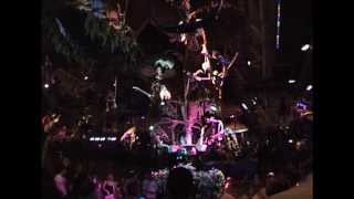 The Enchanted Tiki Room: Under New Management at the Magic Kingdom (2007)