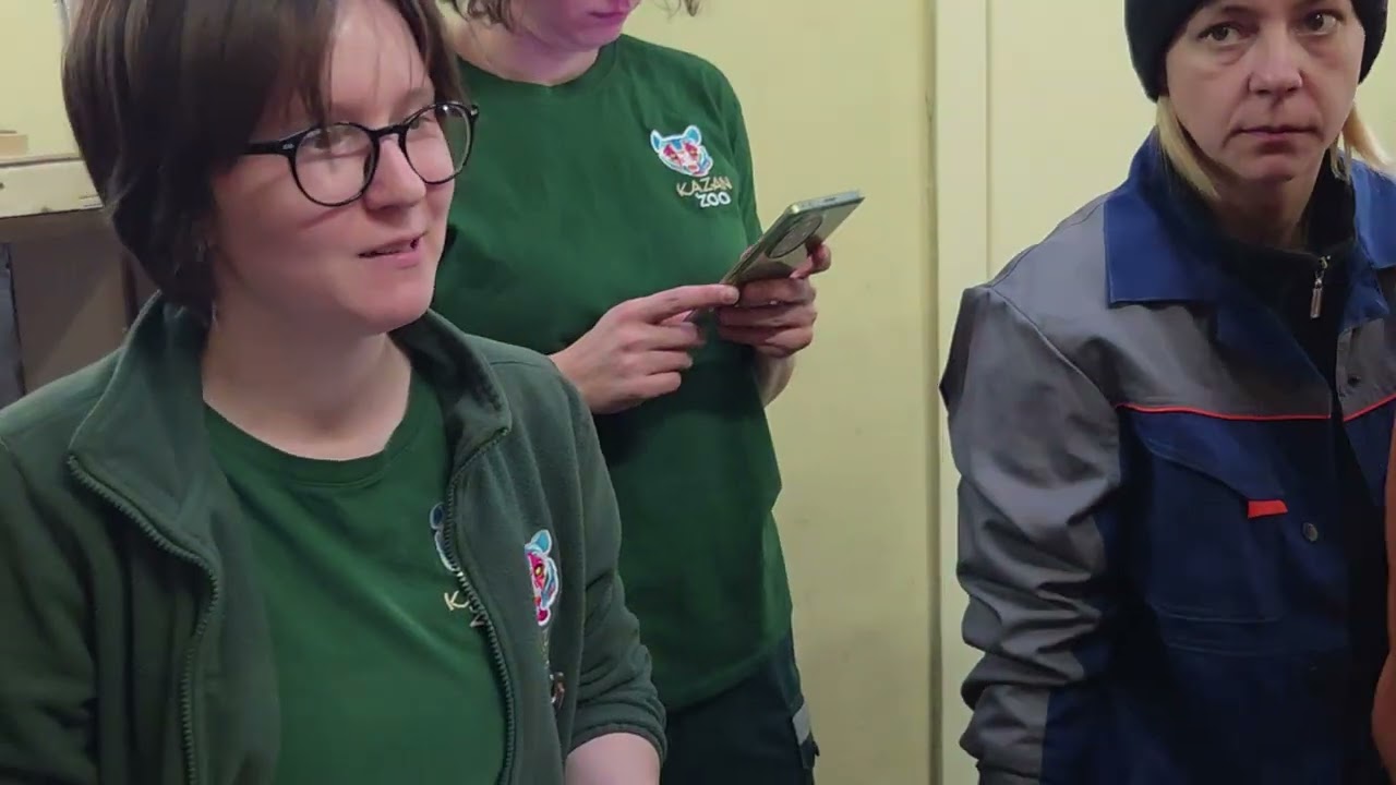 С новосельем, Басур и Саяна🐯