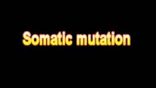 What Is The Definition Of Somatic mutation Medical School Terminology Dictionary