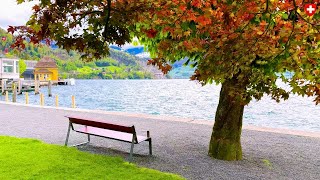 Switzerland 🇨🇭 4K Vitznau, a Beautiful Village in an Idyllic Bay of Lake Lucerne | #swiss