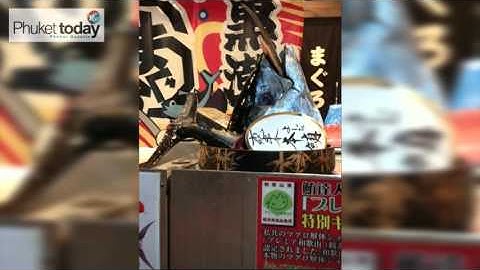 2016 IB Year 13 Visual Art Exhibition - Supanitch