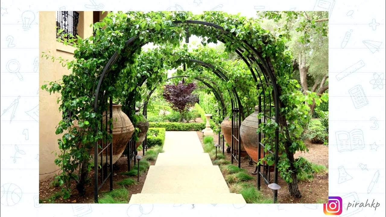 Arbor or Arbour meaning Word of the Day Learn English Vocabulary