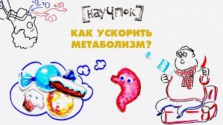 Как ускорить метаболизм? - Научпок