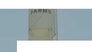 Schnepf Farm