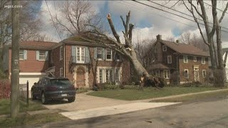 Prepare your home for the wind storm