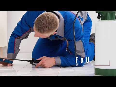 pest-control-services-in-houston-tx,-details-at-yellowpages.com