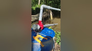 Bơm nước 12v DC chạy trực tiếp từ pin năng lượng mặt trời