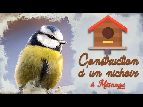 Vidéo: Comment fabriquer soi-même un nichoir en carton: instructions étape par étape et photos