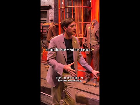Fred and George Weasley challenge: Harry Potter lingo!