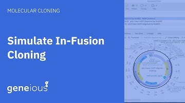 How to Simulate In-Fusion Cloning with Geneious Prime