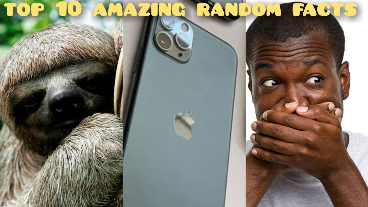 top 10 amazing random facts | interesting random facts | untold facts ...