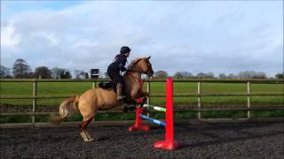 grid work lesson 9.1.16