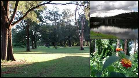 سورة التغابن الشيخ ناصر الغامدي