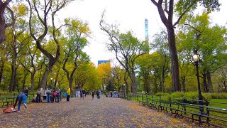 NYC Early Fall Foliage in Central Park - Oct 27, 2021