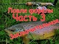 Ловля ручьевой форели. ЧАСТЬ 3.