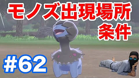 ポケモン600族の生息地剣盾