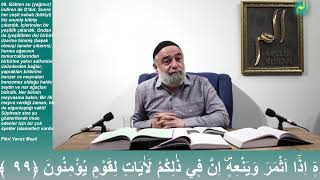 En'am Suresi 99. Ayetin Tefsiri (Semadan Su İndirip Onunla Bütün Nebatatı Çıkaran O’dur)
