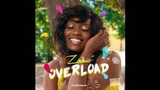 Overload (Visualizer) - Zinnia