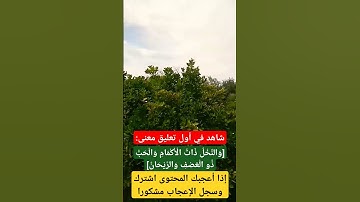 #سورة_الرحمن #القرآن_الكريم #آيات_بينات  #تلاوة_خاشعة #تيك_توك #قرآن #اكسبلور  #راحة_نفسية #دويتو