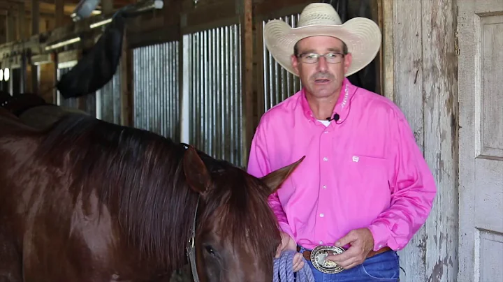 Trevor Walton of Walton Performance Horses in Rive...