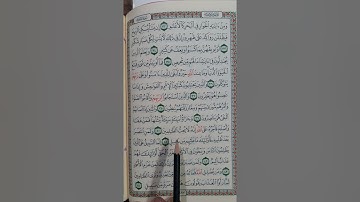 سورة الشورى من آية (٣٢) إلى الآية (٤٤)