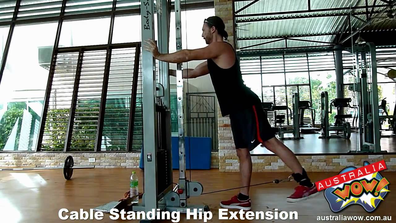 Cable Standing Hip Extension YouTube