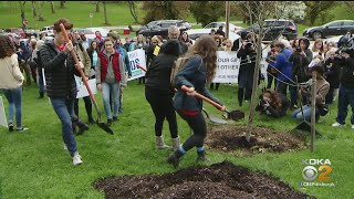 Pittsburghs Jewish Community Gathers To Remember The Tree Of Life Shooting
