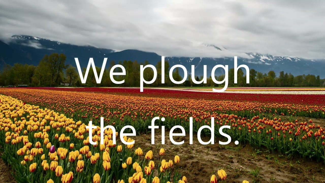 We Plough the Fields and Scatter. Hymn with lyrics. - YouTube