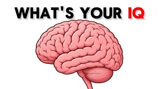 Only Geniuses Score 5/5 On This Brain Test screenshot 3