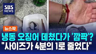 Shocked by Blanched Frozen Squid? "Shrunk to 1/4 of Its Original Size" / News Brief / SBS Morning...