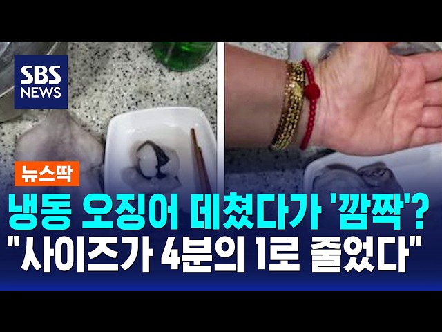 냉동 오징어 데쳤다가 '깜짝'? "사이즈가 4분의 1로 줄었다" / 뉴스딱 / SBS 모닝와이드