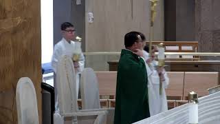 The Third Sunday in Ordinary Time, Sunday Mass-January 25, 2026