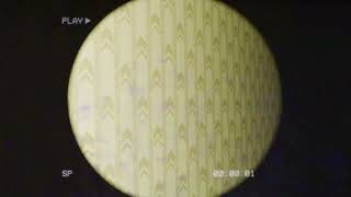 FootageBackrooms.MP4 Level 0