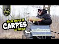 Carpes au feeder avec christophe sobolewski  matrix fishing tv france pche france carp