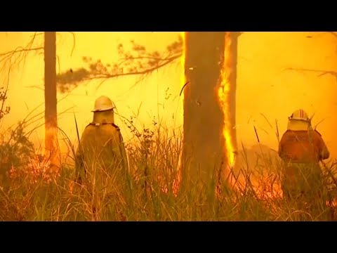 Bushfires rage in Australia ahead of heatwave forecast
