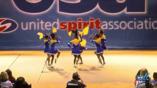 Channel Islands Short Flags 2017 (1 Flag) USA Nationals