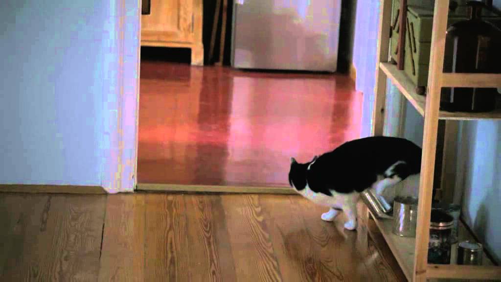 SOKO Leipzig Outtakes "Besessen"