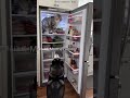 #CatStealingFish#FunnyCatVideos#CatVsFish#NaughtyCat#CatLife#SneakyCat#CatFail#CuteCat#PetFunny