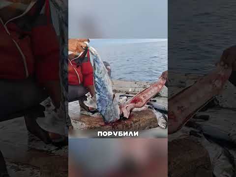300 ТЫСЯЧ рублей за наживку 💰🎣😱