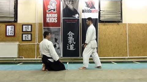 hanmi handachi gyakuhanmi katatedori shihonage ura [TUTORIAL] Aikido basic technique
