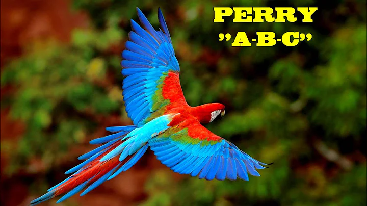 PERRY "ABC"