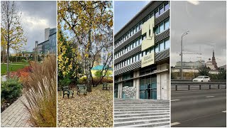 Осень в Казани - центральные улицы города, парки и скверы, бизнес-центр Urban. 24 октября 2025 г.