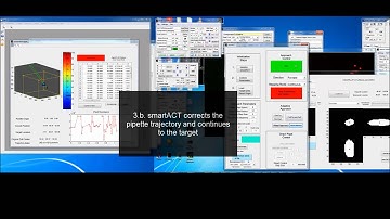 3D Image-Guided Automatic Pipette Positioning for Single Cell Experiments in vivo