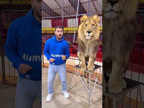 يمكن ماما لالالا